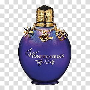 Wonderstruck transparent background PNG clipart