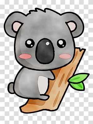Koala Bear transparent background PNG cliparts free download | HiClipart