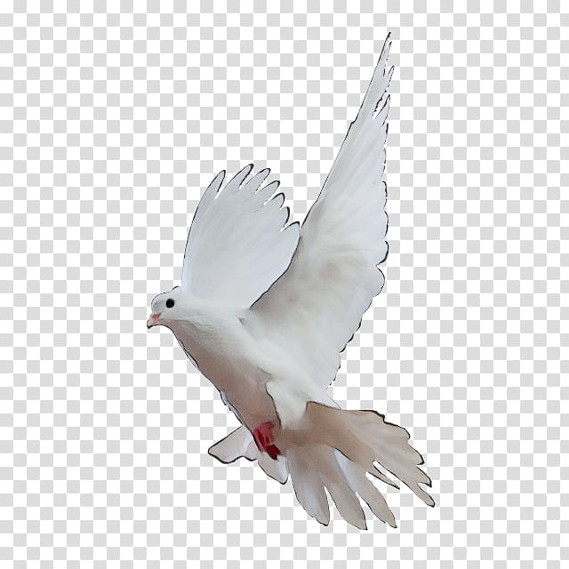 Modern Minimalit Digital Dove Pixel Logo Graphic by DOMSTOCK · Creative  Fabrica