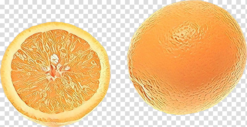 Orange, Citrus, Grapefruit, Citron, Citric Acid, Valencia Orange, Rangpur, Bitter Orange transparent background PNG clipart