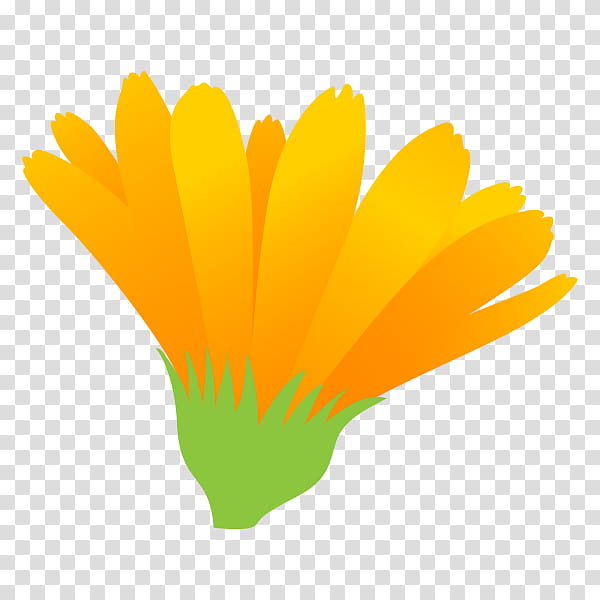 Marigold Flower, Petal, English Marigold, Plants, Tree, Computer Font, Yellow, Leaf transparent background PNG clipart