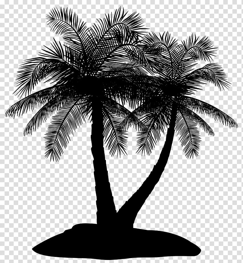 Palm Tree Silhouette, Asian Palmyra Palm, Date Palm, Palm Trees, Borassus, Arecales, Woody Plant, Blackandwhite transparent background PNG clipart