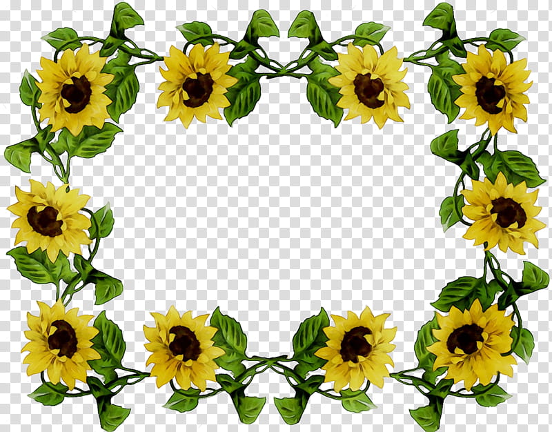 Flowers, BORDERS AND FRAMES, Sunflower, Frames, Drawing, Yellow, Plant, Petal transparent background PNG clipart