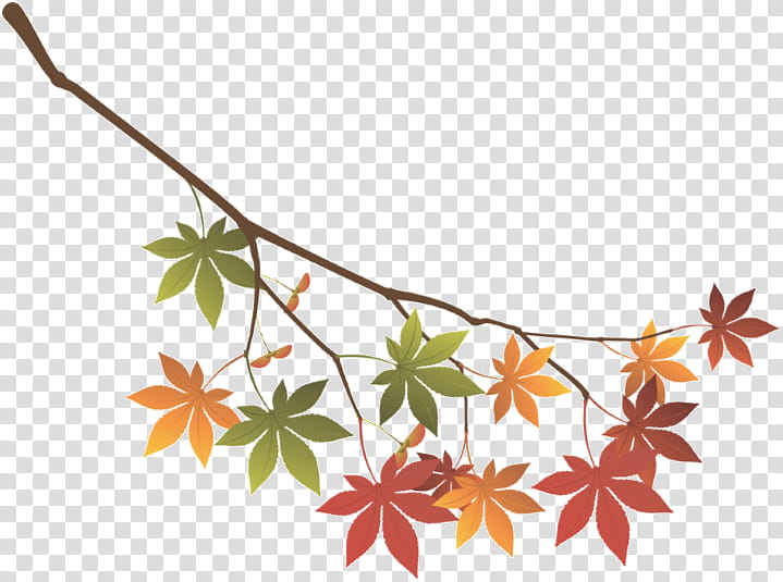 New Year Tree Branch, Autumn, New Year Card, Blog, Leaf, Text, Copyrightfree, Plant transparent background PNG clipart