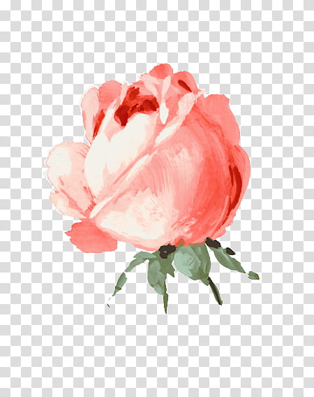 Flower Vy Tuzki, pink flower illustration transparent background PNG clipart
