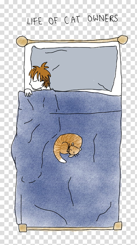 child and cat sleeping on bed illustration transparent background PNG clipart