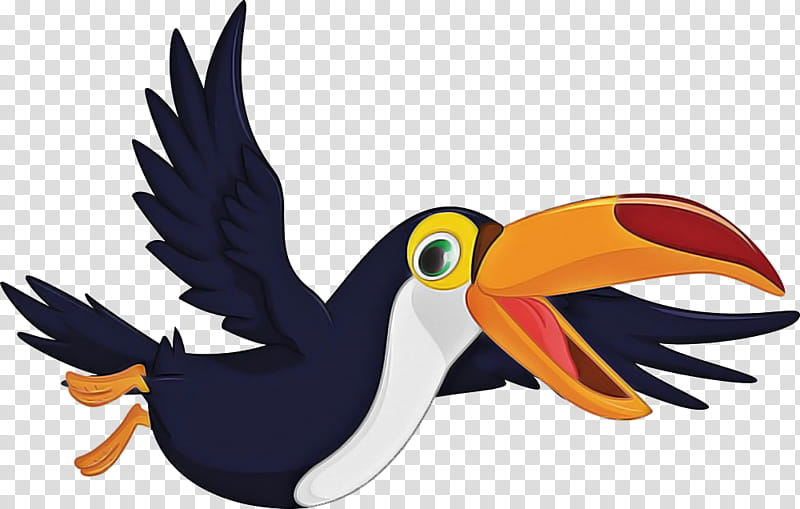 toucan bird beak cartoon piciformes, Hornbill, Wing, Animal Figure transparent background PNG clipart