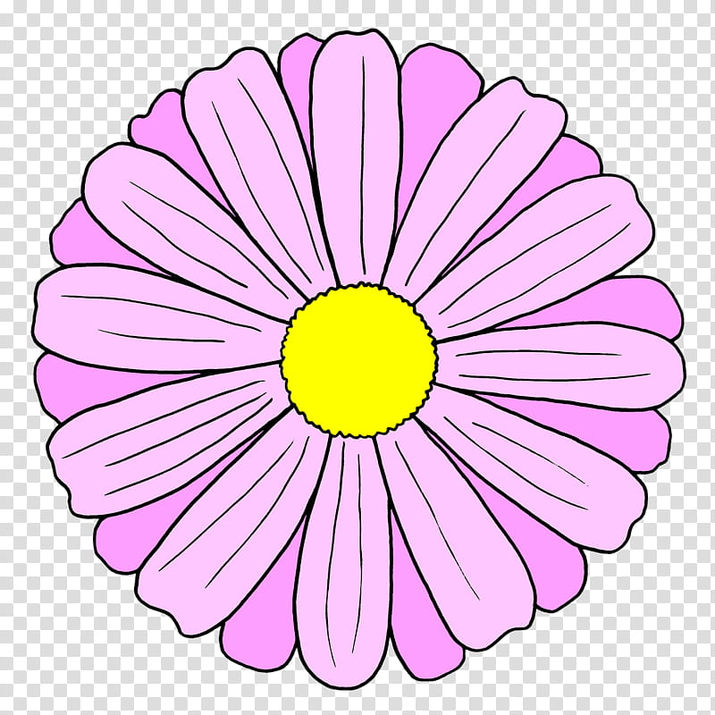 Floral design, Drawing, Flower, Chrysanthemum, Pnk, Pink, Petal, Gerbera transparent background PNG clipart