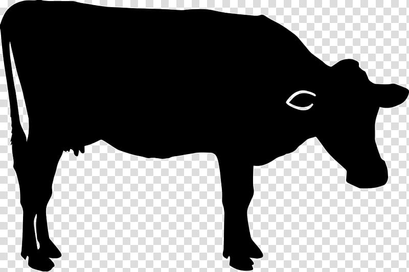 bovine snout live silhouette dairy cow, Live, Working Animal, Cowgoat Family transparent background PNG clipart