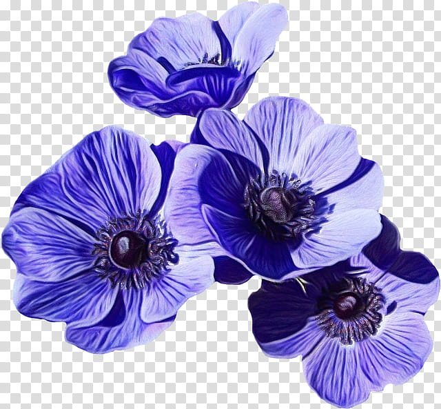 Purple Flower Wreath, Flower Bouquet, Artificial Flower, Lily, Tshirt, Cut Flowers, Blue, Garden Roses transparent background PNG clipart