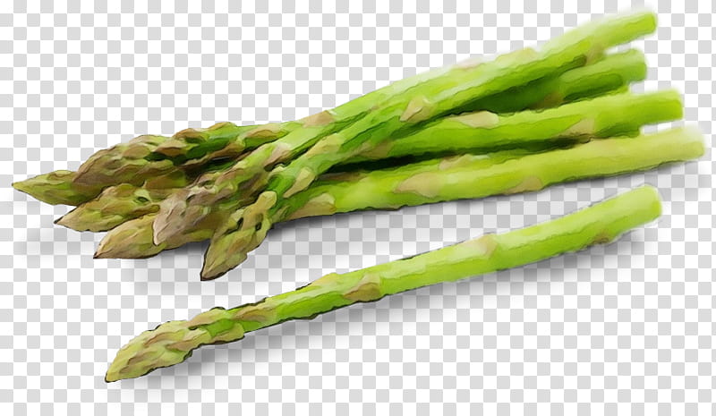 asparagus vegetable food plant asparagus, Watercolor, Paint, Wet Ink, Ingredient transparent background PNG clipart