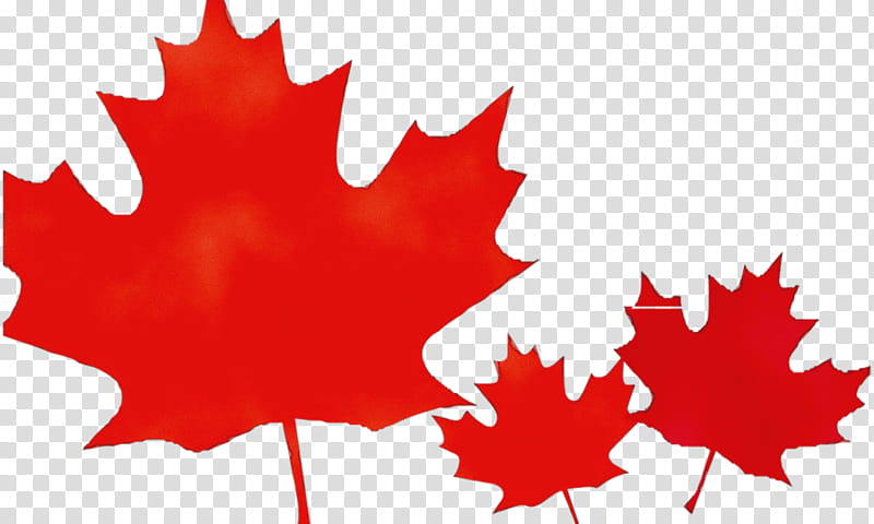 Canada Maple Leaf, Watercolor, Paint, Wet Ink, Tin Flute, Music, Drawing, Gabrielle Roy transparent background PNG clipart