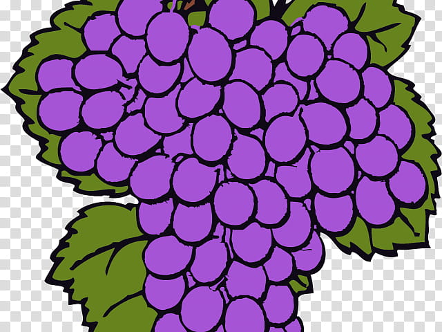 Flower Vine, Cabernet Sauvignon, Wine, Grape, Red Wine, Cartoon, Fruit, Berries transparent background PNG clipart