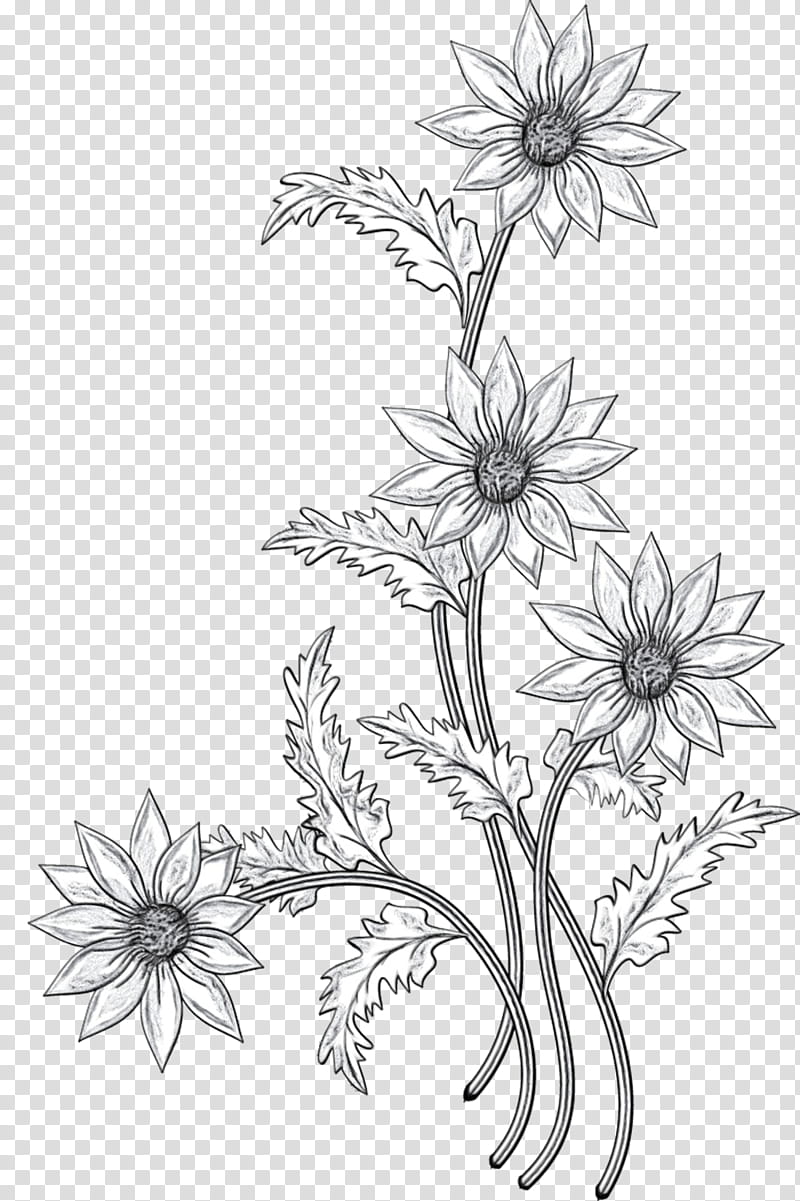 Black And White Flower, Floral Design, Cut Flowers, Black White M,  Chrysanthemum, Leaf, Plant Stem, Line Art transparent background PNG  clipart | HiClipart