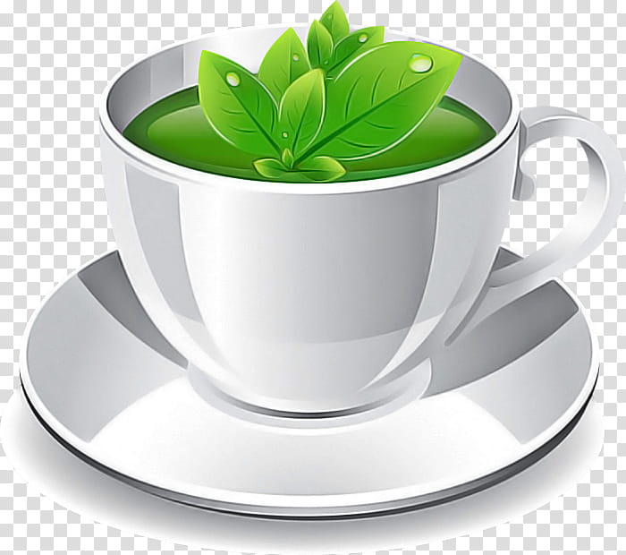 Coffee cup, Green, Teacup, Saucer, Drinkware, Leaf, Serveware, Tableware transparent background PNG clipart