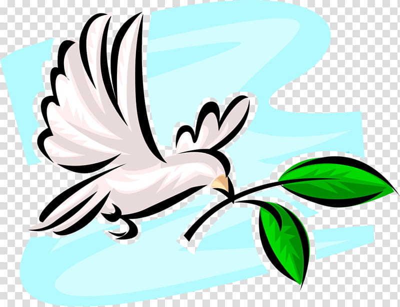 Bird Line Drawing, Pigeons And Doves, Olive Branch, Peace, Text, Green, Leaf, Plant transparent background PNG clipart