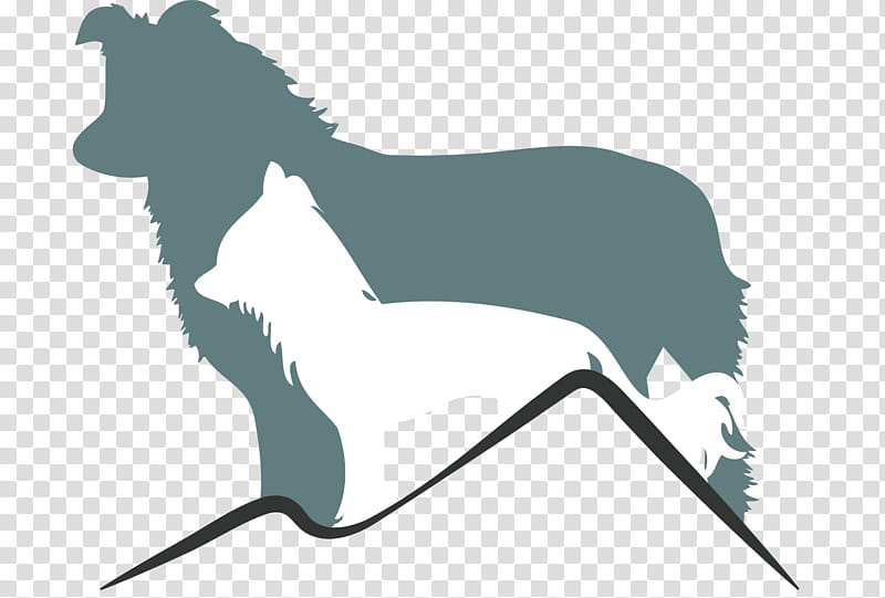 Chinese Border, Chinese Crested Dog, Border Collie, Email, Information Privacy, Lower Austria, Silhouette transparent background PNG clipart