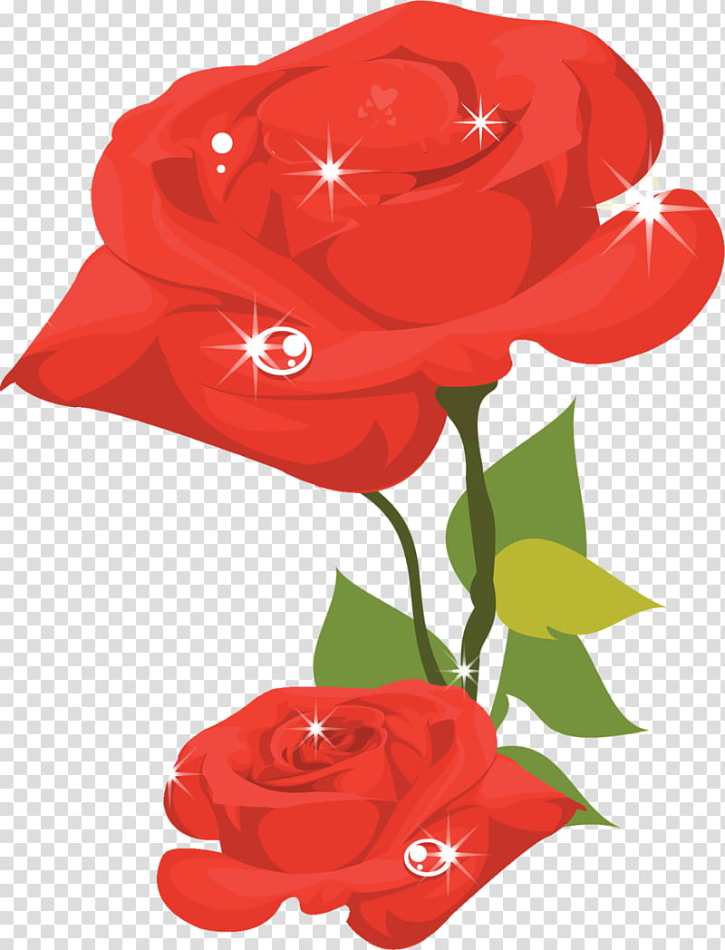 floral flowers, Red, Petal, Plant, Rose, Rose Family, Garden Roses, Anthurium transparent background PNG clipart