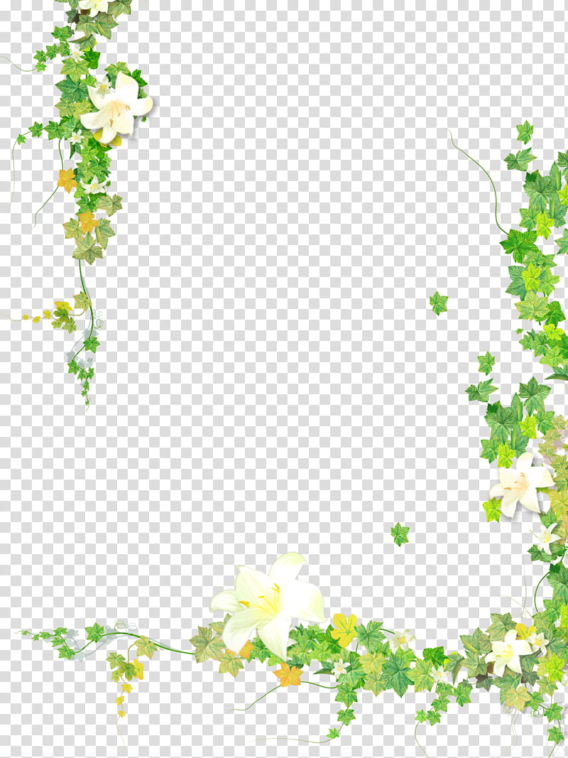 plant clipart borders