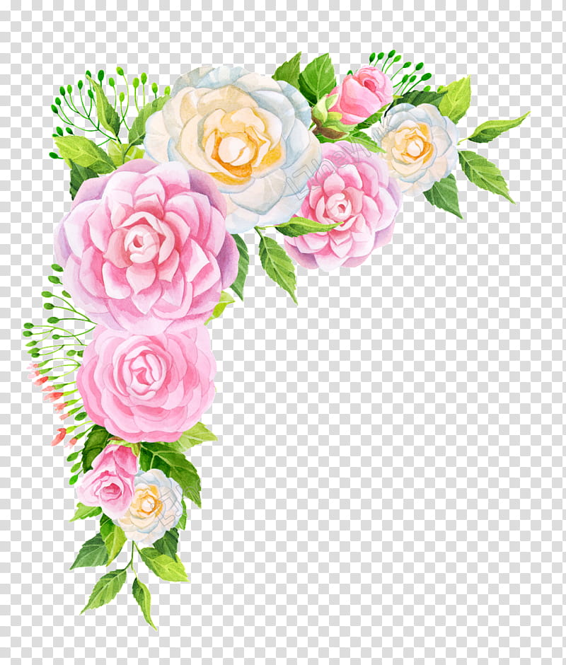 Pink Flowers, Garden Roses, Floral Design, Peony, Cut Flowers, Bouquet, Plant, Rose Family transparent background PNG clipart