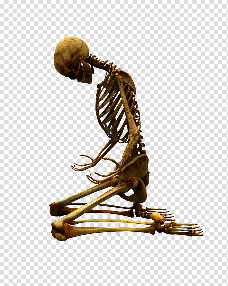 E S Bones I, brown human skeleton kneeling transparent background PNG clipart