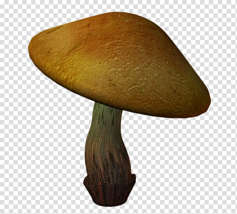 Mushrooms , brown mushroom illustration transparent background PNG clipart