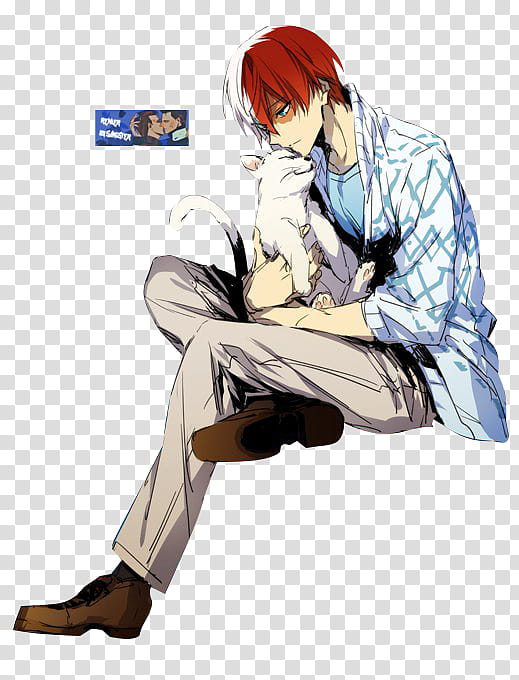 Boku no Hero Academia Todoroki Shouto render transparent background PNG clipart