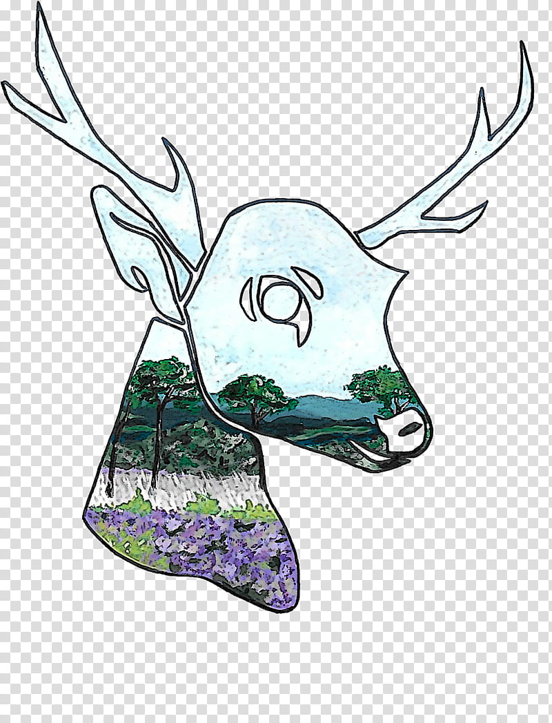 head horn deer wildlife drawing transparent background PNG clipart