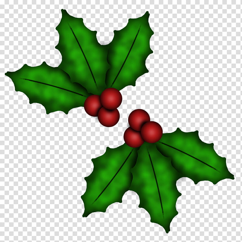 Holly And Berries transparent background PNG clipart