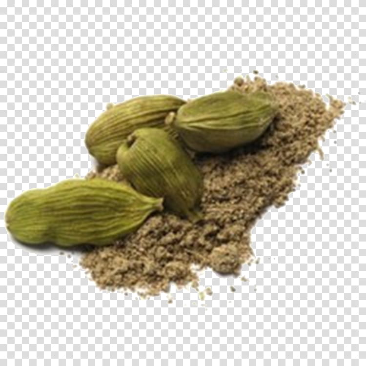 plant cardamom food ingredient transparent background PNG clipart