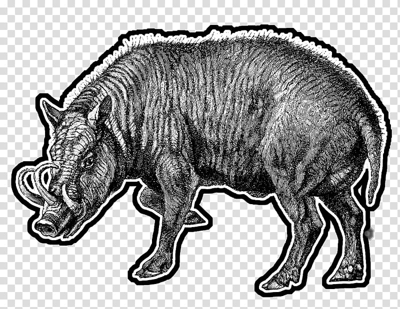 Pig, Wild Boar, Horse, Cattle, Drawing, Animal, Snout, Wildlife transparent background PNG clipart