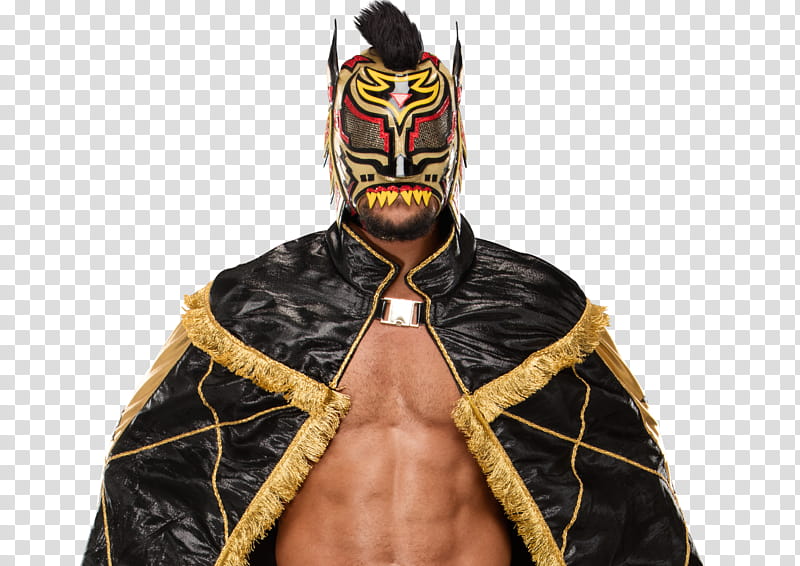 Lince Dorado  transparent background PNG clipart