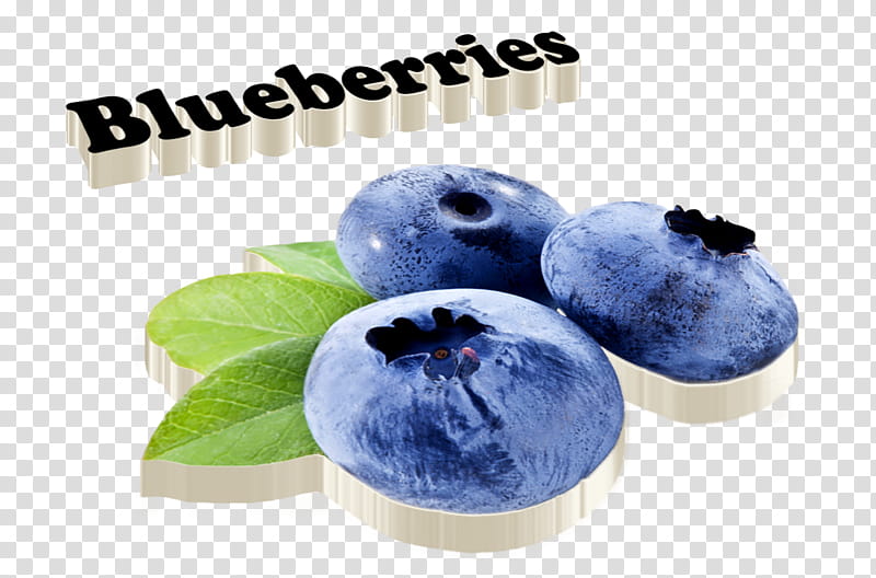 Fruit, Blueberry, Bilberry, Logo, Superfood, Name, Text transparent background PNG clipart