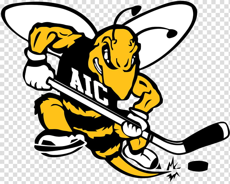 American Football, American International College, American International Yellow Jackets Football, Ice Hockey, Ncaa Division I, College Ice Hockey, Male, Latest Sports Logos News transparent background PNG clipart