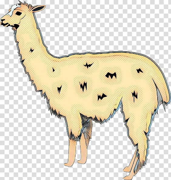 Llama, Sheep, Bulldog, Cattle, Animal, Bullfighting, Cartoon, Panorama transparent background PNG clipart