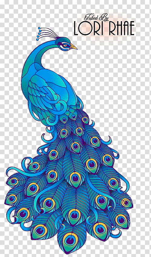 Watercolor, Peafowl, Drawing, Painting, Watercolor Painting, Indian Peafowl, 2018, Art Museum transparent background PNG clipart