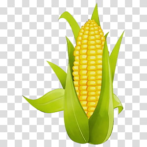 corn on the cob sweet corn corn corn kernels vegetarian food, Watercolor, Paint, Wet Ink, Yellow, Vegetable, Plant, Leaf transparent background PNG clipart thumbnail