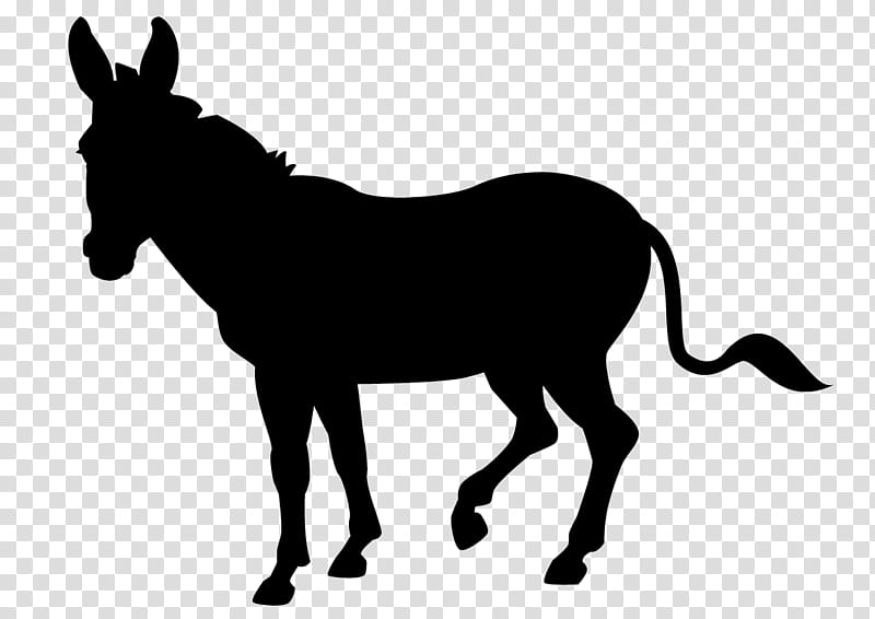 Donkey, Mustang, Stallion, Mare, Bridle, Rein, Silhouette, Snout transparent background PNG clipart