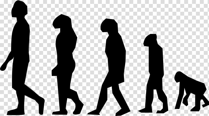 Group Of People, Evolution, Neanderthal, Human, Biology, Upright Man, Life, Heredity transparent background PNG clipart