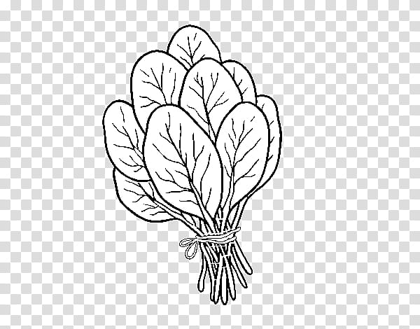 Black And White Flower, Spinach Salad, Drawing, Coloring Book, Vegetable, Food, Food Coloring, Greens transparent background PNG clipart