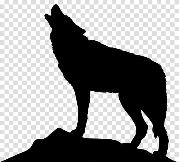 Wolf Drawing, Silhouette, Aullido, Arctic Wolf, Black Wolf, Wildlife, Blackandwhite, Snout transparent background PNG clipart