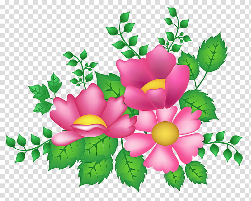 Rose, Flower, Petal, Leaf, Plant, Flowering Plant, Prickly Rose transparent background PNG clipart