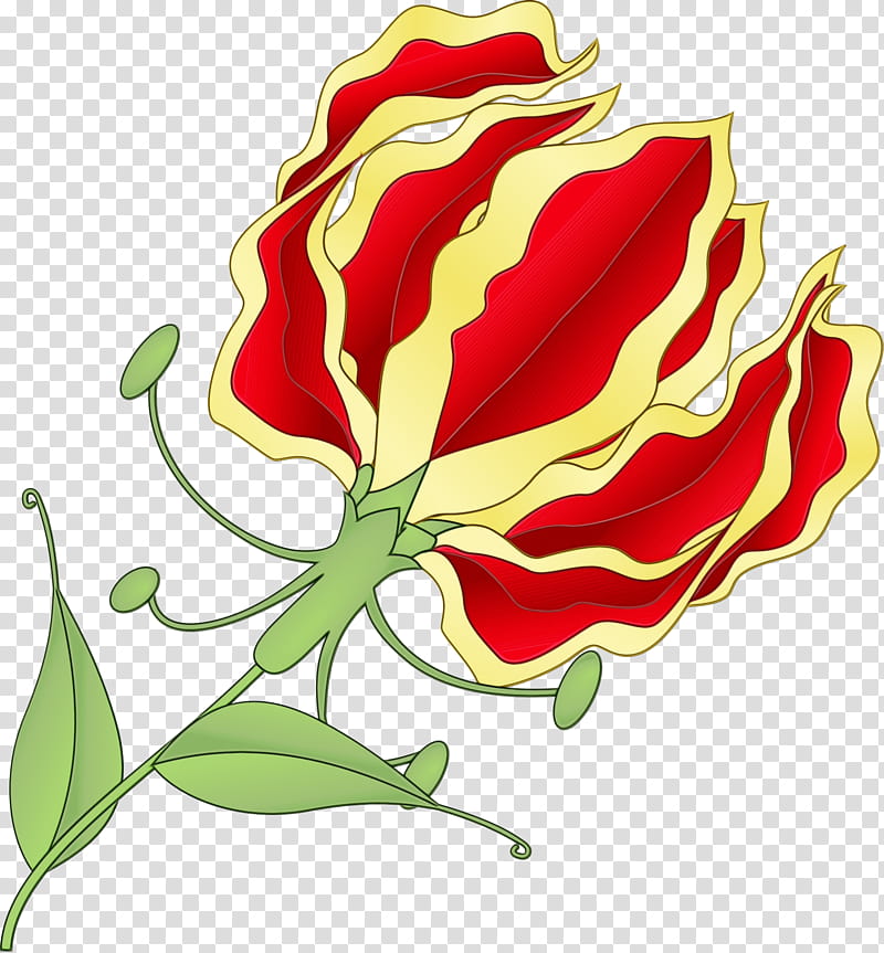 Lily Flower, Garden Roses, Flame Lily, Plant Stem, Floral Design, Plants, Fire Lilies, Leaf transparent background PNG clipart