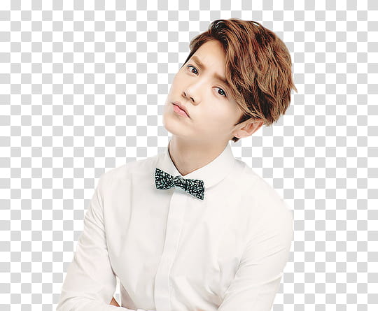 Luhan , man wearing white dress shirt and bow transparent background PNG clipart