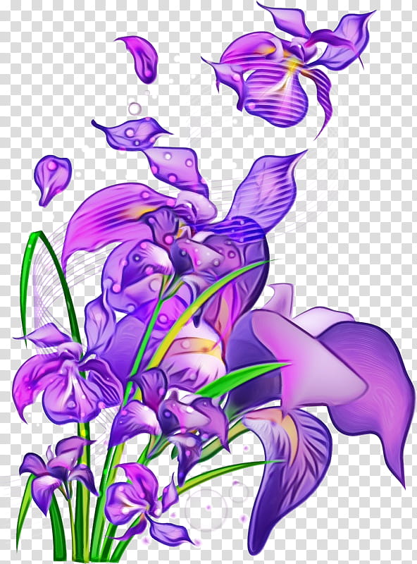 flower violet purple plant flowering plant, Watercolor, Paint, Wet Ink, Iris, Petal, Bellflower Family transparent background PNG clipart