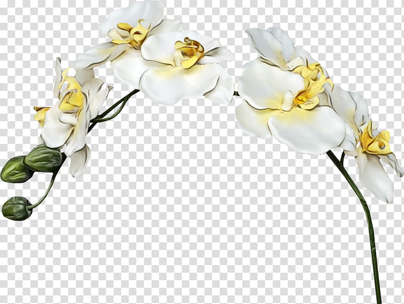 Artificial flower, Watercolor, Paint, Wet Ink, Moth Orchid, Cut Flowers, Plant, Flowering Plant transparent background PNG clipart