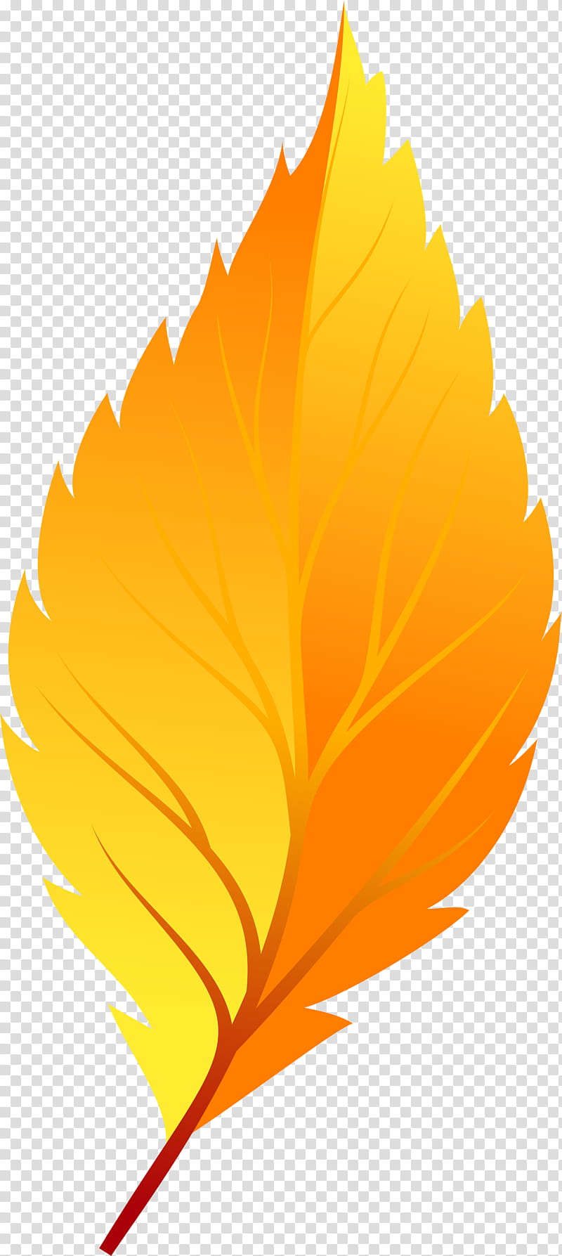 Marigold Flower, Autumn Leaf Color, Yellow, Red, Orange, English Marigold, Petal, Plant transparent background PNG clipart