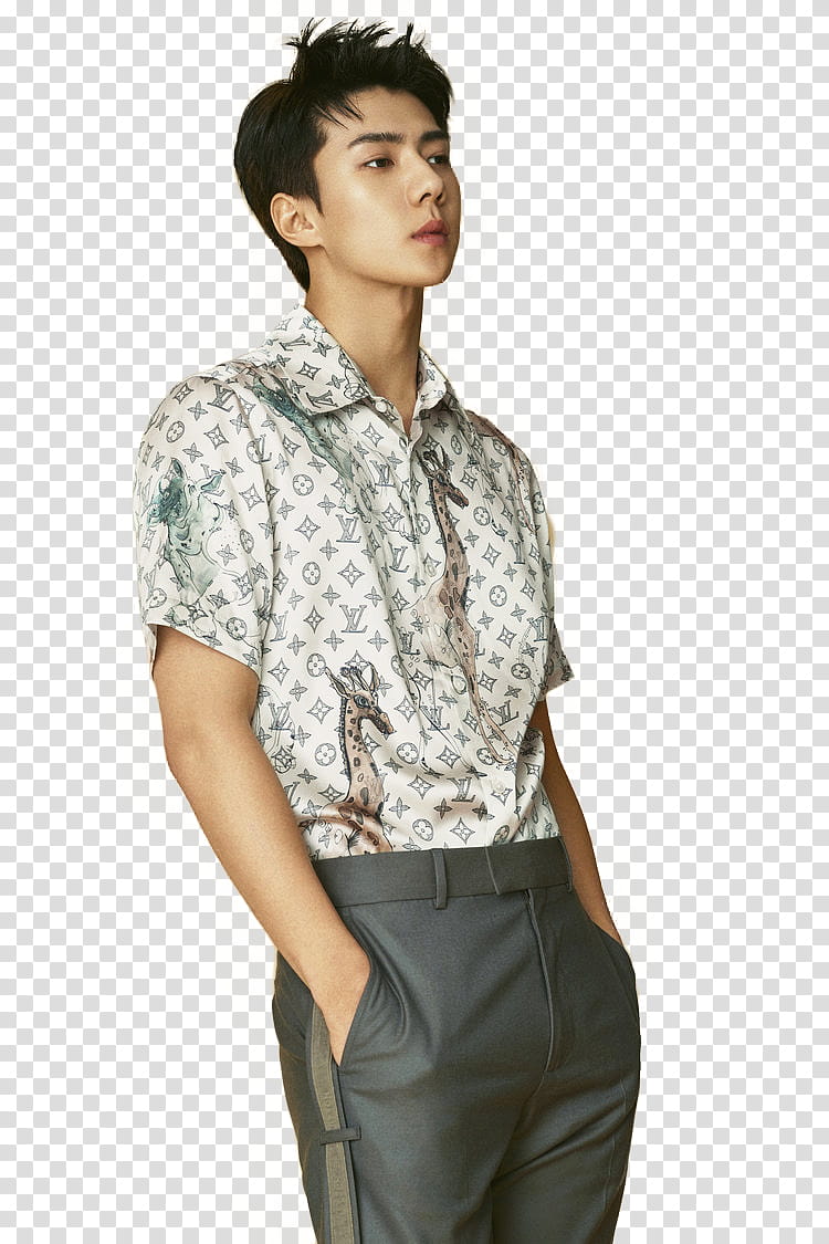 Sehun EXO L OPTIMUM , man in white collared top transparent background PNG clipart