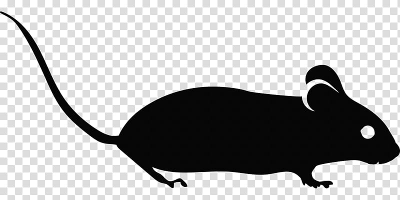 Rat, Computer Mouse, Pointer, Laboratory Mouse, Cursor, Muridae, Pest, Muroidea transparent background PNG clipart