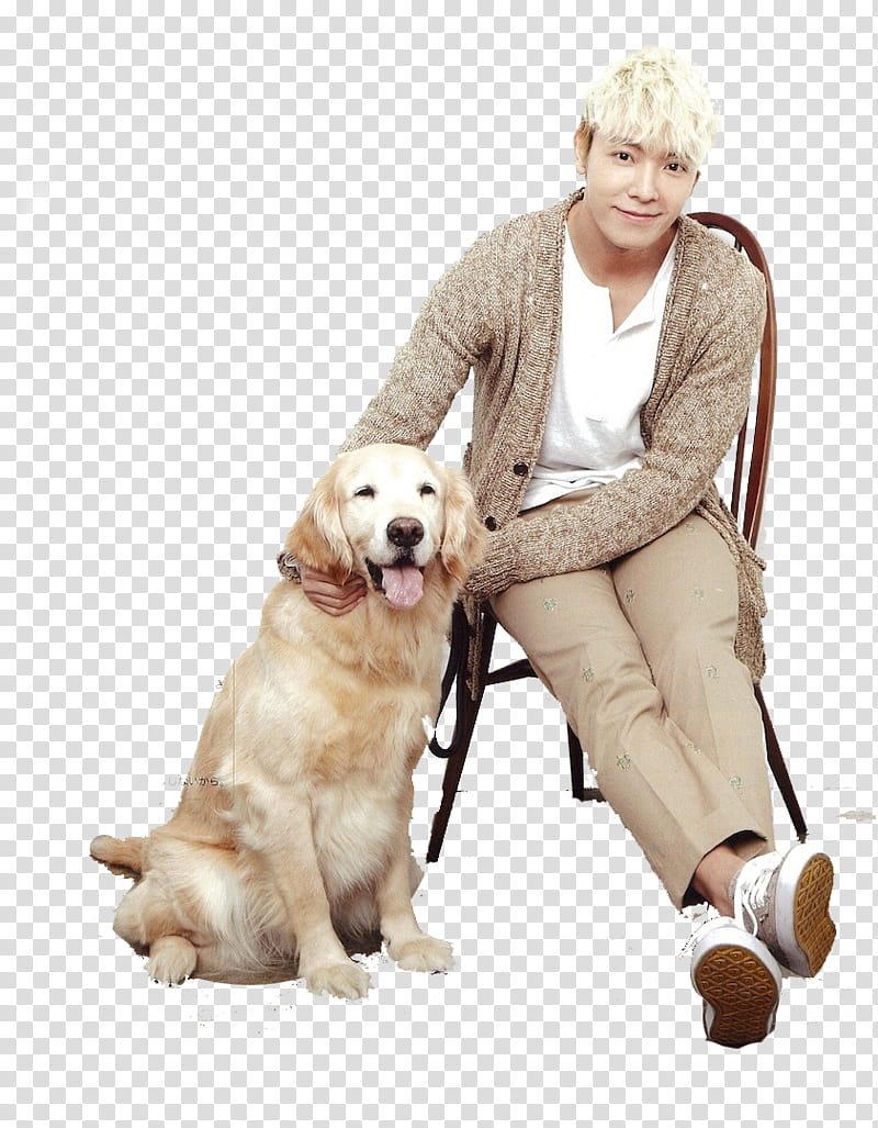 Super Junior Date with Magazine, man on chair with Golden Retriever dog transparent background PNG clipart